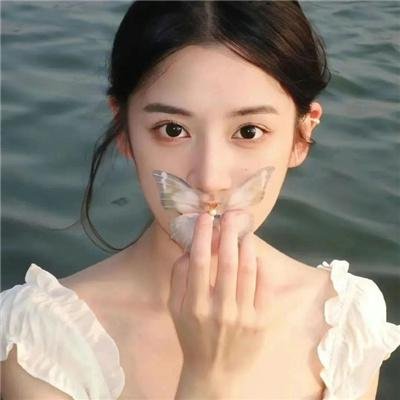 情陷亚维农