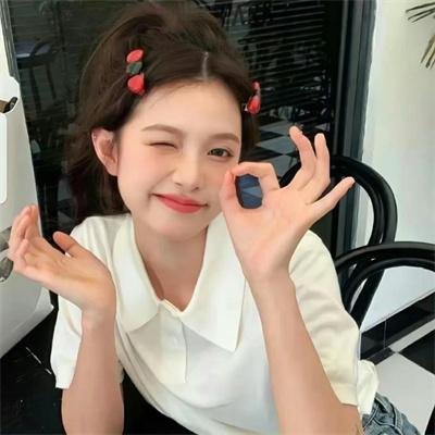 全面搜寻圣诞狗狗